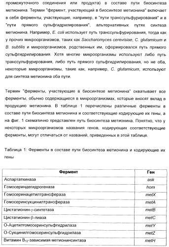 Применение диметилдисульфида для продукции метионина микроорганизмами (патент 2413001)