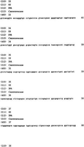 Одноцепочечное триспецифическое антитело рекомбинант анти-сеа/cd3/cd28, полученный путем генетической инженерии (патент 2361878)