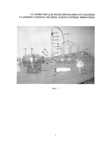 Устройство для моделирования отравления угарным газом мелких лабораторных животных (патент 2584553)