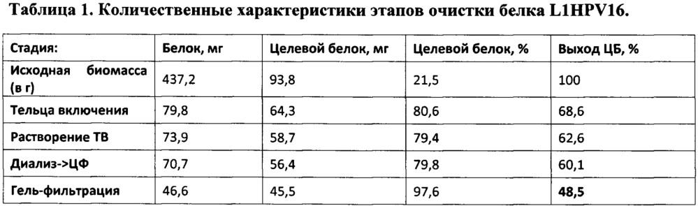 Рекомбинантный ген l1hpv16, рекомбинантная плазмида pqe-l1/16, белок l1hpv16 и их применение (патент 2628693)