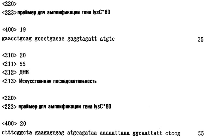 Способ получения l-лизина с использованием бактерий methylophilus и способ получения бактериальных клеток methylophilus (патент 2334794)