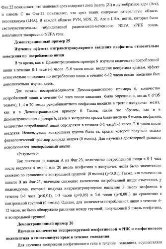 Способ получения фактора, связанного с контролем над потреблением пищи и/или массой тела, полипептид, обладающий активностью подавления потребления пищи и/или прибавления в весе, молекула нуклеиновой кислоты, кодирующая полипептид, способы и применение полипептида (патент 2418002)