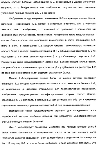 Иммуноцитокины с модулированной селективностью (патент 2312677)