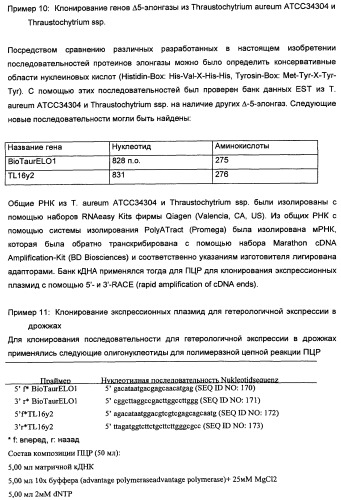 Способ получения полиненасыщенных кислот жирного ряда в трансгенных организмах (патент 2447147)