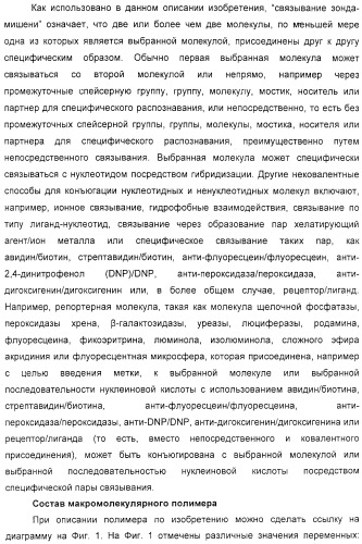 Макромолекула регулируемого размера (патент 2326172)