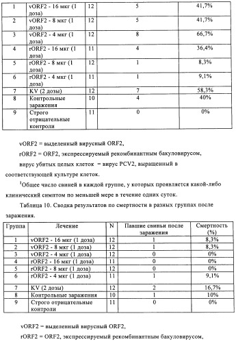 Поливалентные иммуногенные композиции pcv2 и способы получения таких композиций (патент 2488407)