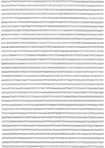 Применение s1p (патент 2362565)