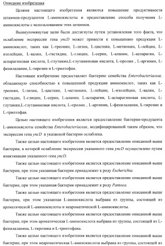 Способ получения l-треонина с использованием бактерии, принадлежащей к роду escherichia, в которой инактивирован ген yncd (патент 2396337)