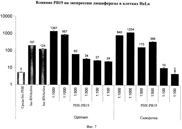 Связанные дисульфидной связью конъюгаты полиэтиленгликоля/пептида для трансфекции нуклеиновых кислот (патент 2552352)