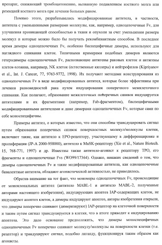 Днк, кодирующая модифицированное антитело или соединение с активностью агониста тро, способ их получения и животная клетка или микроорганизм, их продуцирующие (патент 2422528)