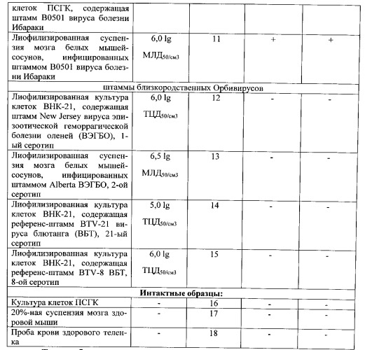 Олигонуклеотидные праймеры, флуоресцентный зонд и способ для выявления рнк вируса болезни ибараки методом полимеразной цепной реакции в режиме реального времени (патент 2540142)