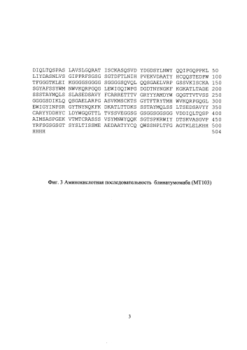 Способ получения биспецифических антител против cd3*cd19 формата флексибоди в клетках млекопитающих (патент 2577226)