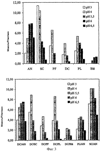 Синергический эффект комбинации фитаз в отношении гидролиза фитиновой кислоты (патент 2407791)