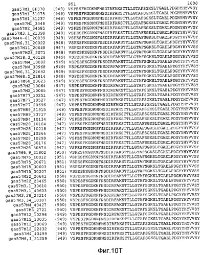 Мутантные антигены gas57 и антитела против gas57 (патент 2471497)