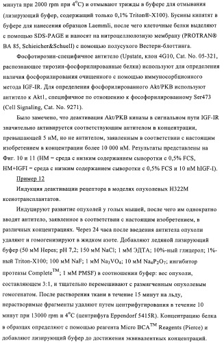 Антитела к рецептору инсулиноподобного фактора роста i и их применение (патент 2363706)