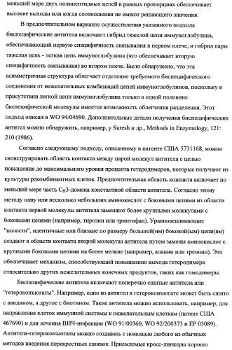 Способ лечения рака у человека (варианты), применяемая в способе форма (варианты) и применение антитела (варианты) (патент 2430739)