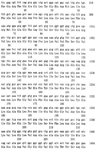 Способ получения l-аминокислоты (патент 2250266)