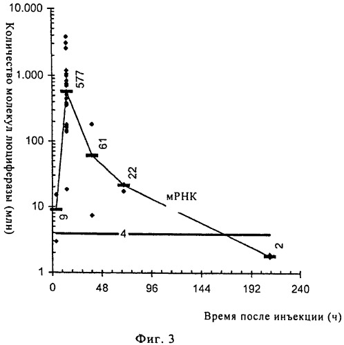 Оптимизированная композиция для инъекции рнк (патент 2418593)