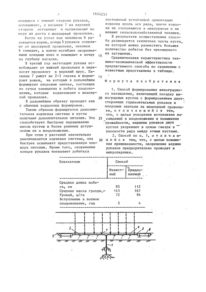 Способ формирования виноградного насаждения (патент 1604251)