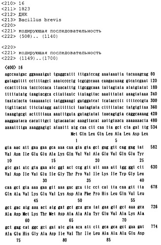 Бактерия рода bacillus, продуцирующая l-аминокислоту, и способ получения l-аминокислоты (патент 2299907)