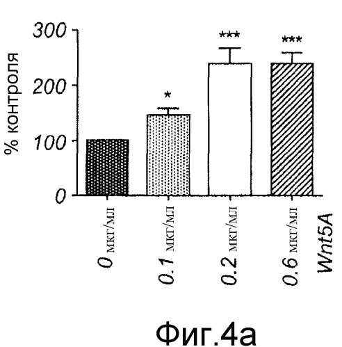 Применение производных пептида wnt5-a для лечения меланомы и рака желудка (патент 2517190)