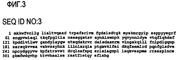 Ферментативная обработка масел (патент 2377307)