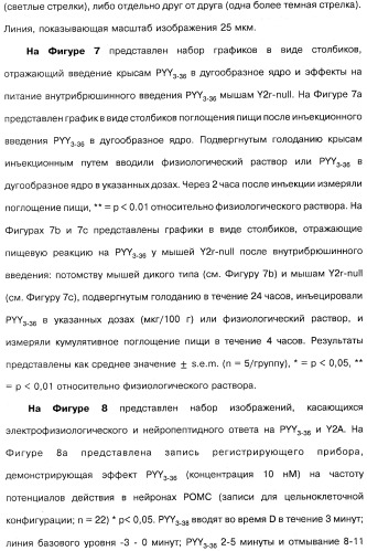 Способ модификации пищевого поведения и применение pyy или его агониста в качестве средства для модификации пищевого поведения (патент 2317104)