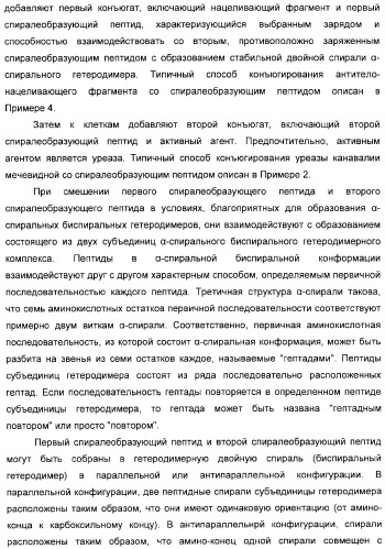 Использование уреазы для ингибирования роста раковых клеток (патент 2326691)