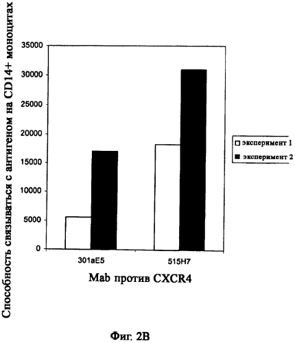 Антитела против cxcr4 для лечения инфекции вич (патент 2573902)