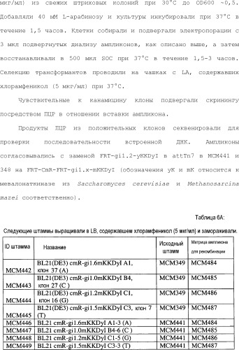 Полимеры изопрена из возобновляемых источников (патент 2505605)