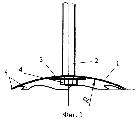 Дисковая лапа (патент 2280969)