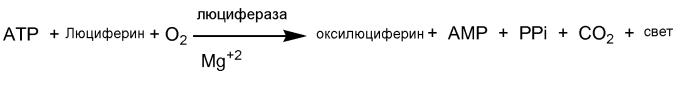 Мультиспецифические антитела, аналоги антител, композиции и способы (патент 2580038)