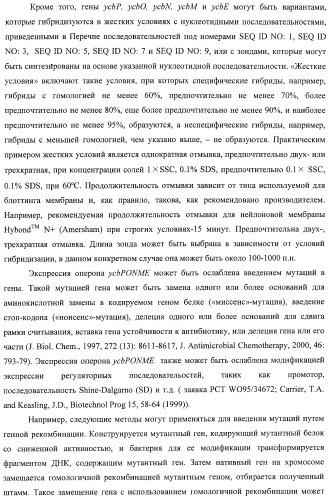 Способ получения l-треонина с использованием бактерии, принадлежащей к роду escherichia, в которой инактивирован оперон ycbponme (оперон ssueadcb) (патент 2392326)