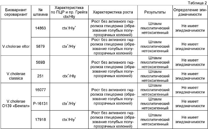 Способ дифференциации атоксигенных штаммов холерных вибрионов о1 и о139 серогрупп от токсигенных по гидролазной активности (патент 2375457)