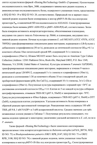 Бактерия семейства enterobacteriaceae - продуцент l-аспарагиновой кислоты или метаболитов, производных l-аспарагиновой кислоты, и способ получения l-аспарагиновой кислоты или метаблитов, производных l-аспарагиновой кислоты (патент 2472853)