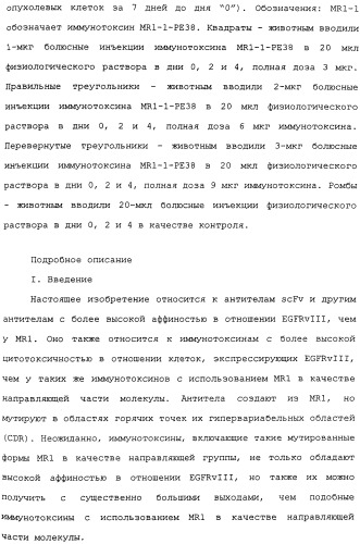 Scfv против egfrviii с улучшенной цитотоксичностью и выходом, иммунотоксины на их основе и способы их применения (патент 2317999)