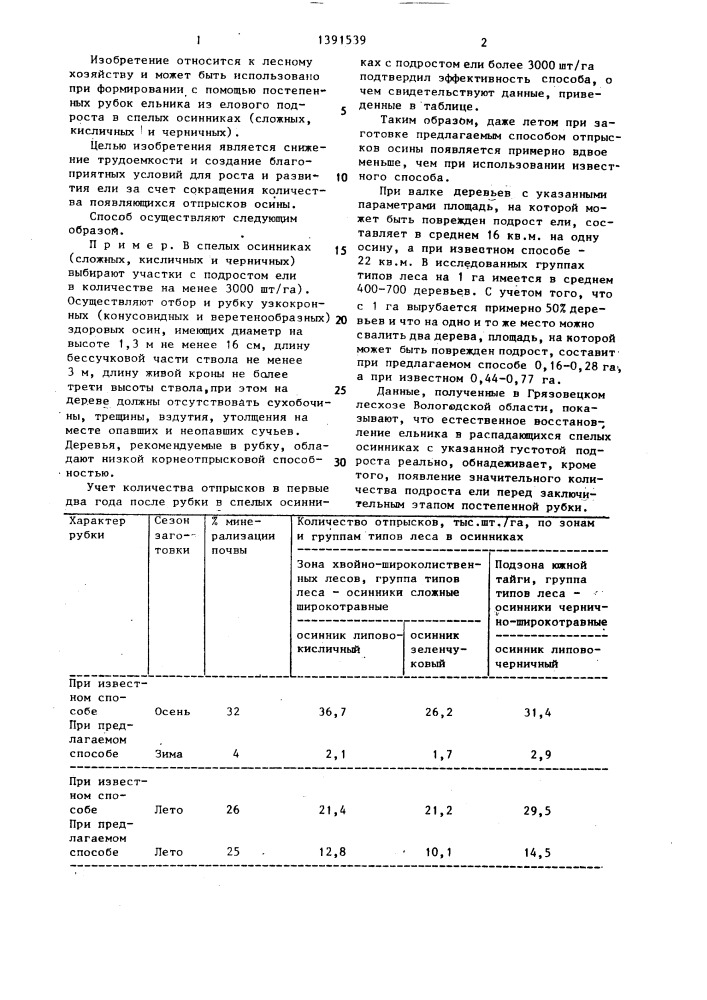 Способ формирования ельника (патент 1391539)