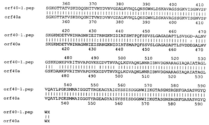 Антигены neisseria meningitidis (патент 2343159)