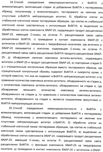 Иммунологические анализы активности ботулинического токсина серотипа а (патент 2491293)