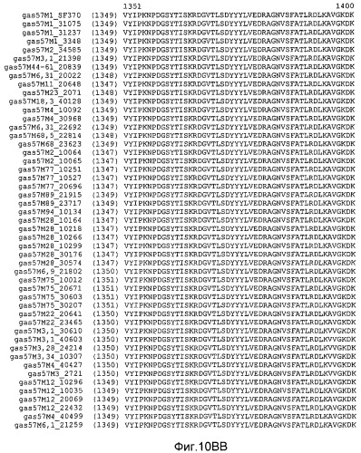 Мутантные антигены gas57 и антитела против gas57 (патент 2471497)