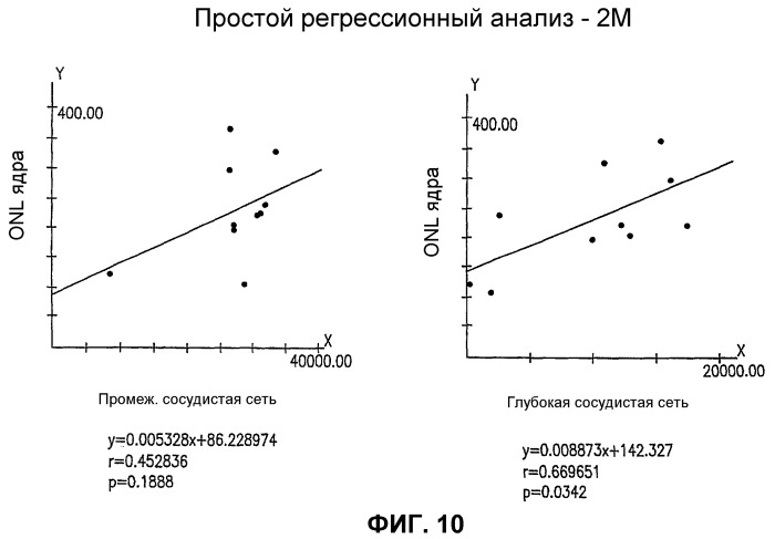 Изолированные популяции миелоидоподобных клеток костного мозга и способы лечения с ними (патент 2418856)