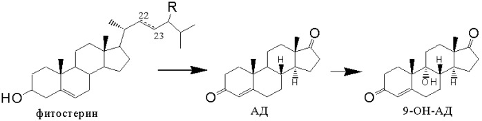 Способ получения андроста-4,9(11)-диен-3,17-диона из фитостерина (патент 2512076)