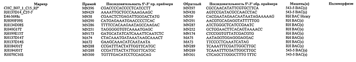 Клонирование и использование функционального r-гена из solanum chacoense (патент 2586509)