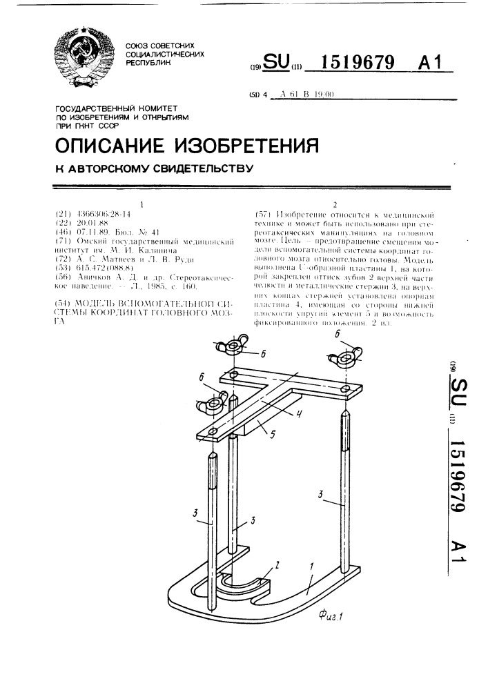 Модель вспомогательной системы координат головного мозга (патент 1519679)