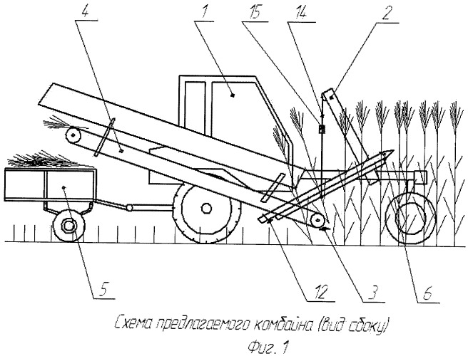 Комбайн для уборки тростника преимущественно на ровных участках (патент 2453102)