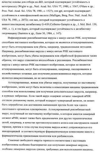 Способы и композиции для экспрессии антисмысловой вирусной рнк в клетках собаки (патент 2457250)