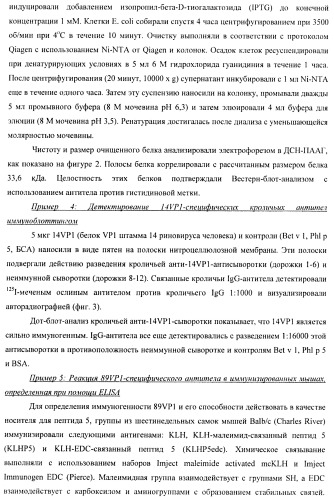 Гипоаллергенный слитый белок, молекула нуклеиновой кислоты, кодирующая его, вектор экспрессии, клетка-хозяин, вакцинная композиция и его применение (патент 2486206)