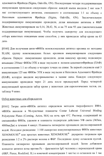Антитела, специфичные к фактору некроза опухолей, и их применение (патент 2377253)