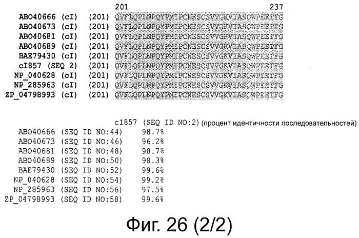 Плазмида без устойчивости к антибиотику (патент 2548809)