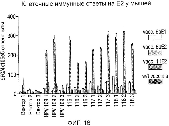 Полинуклеотидная последовательность, кодирующая полипептид вируса папилломы человека, ее применение, а также содержащие ее вектор и фармацевтическая композиция (патент 2354701)